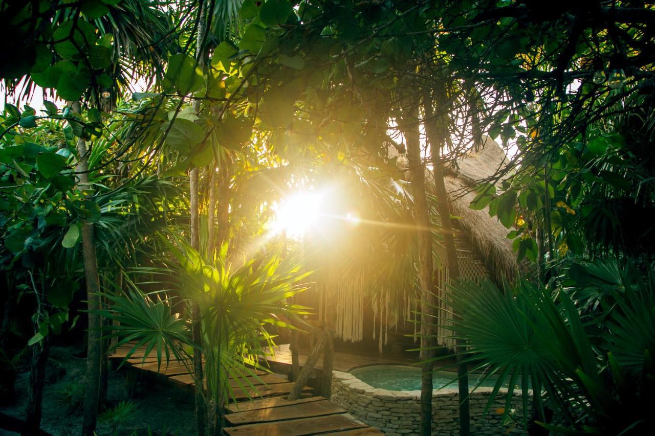 Ikal Tulum Hotel Dış mekan fotoğraf Jungle at Xel-Há