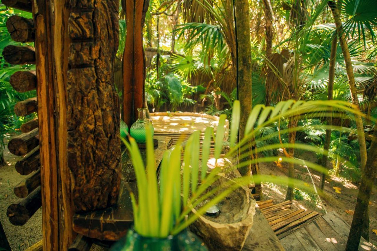 Ikal Tulum Hotel Dış mekan fotoğraf The interior of the rainforest