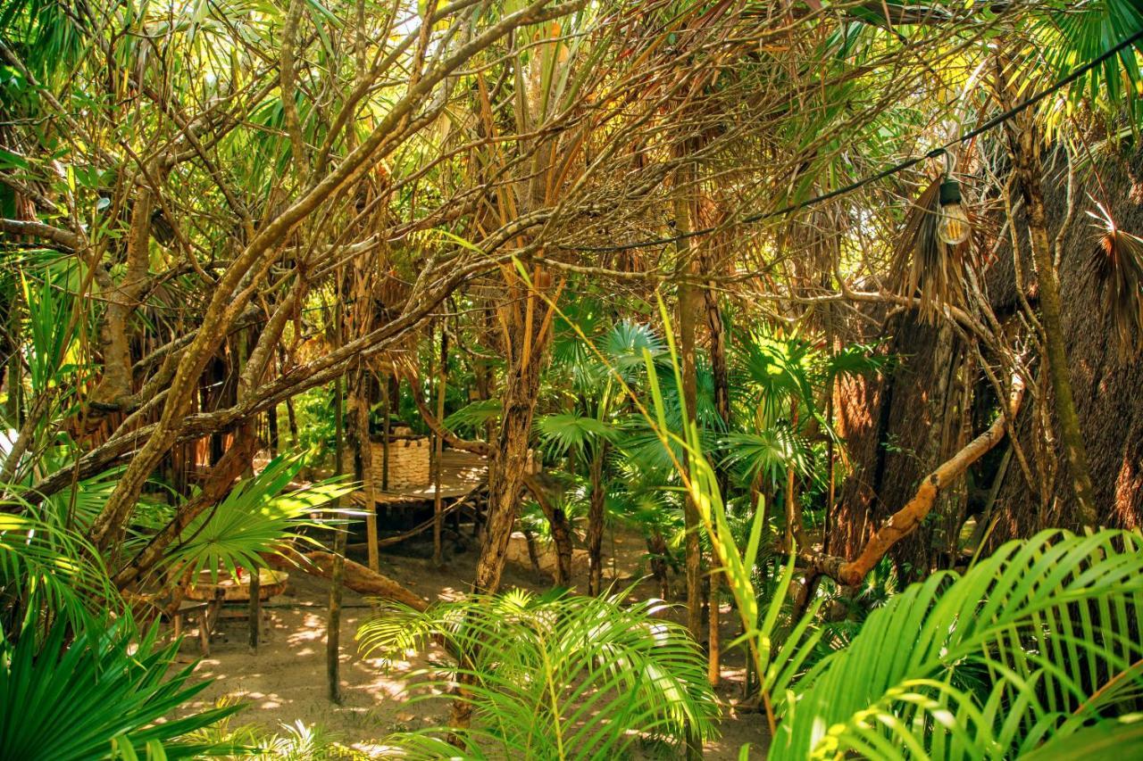 Ikal Tulum Hotel Dış mekan fotoğraf Jungle
