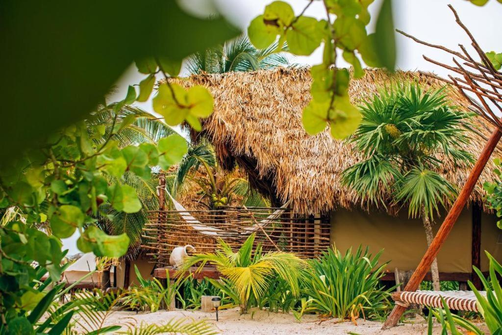 Ikal Tulum Hotel Dış mekan fotoğraf A hut in the jungle